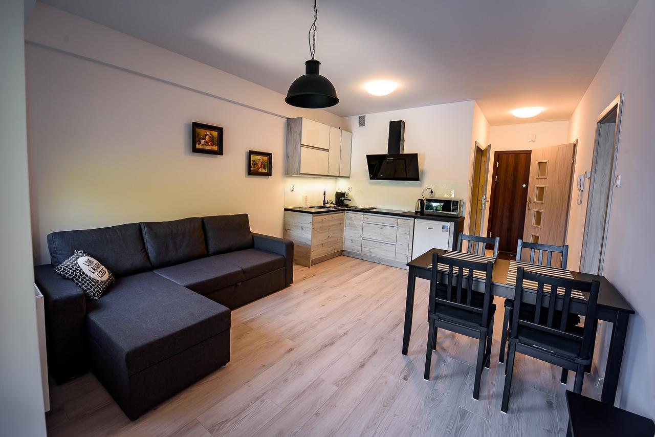 Apartamenty Sun & Snow Zielona Krynica Zdroj Luaran gambar